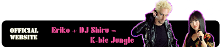 banner kj web