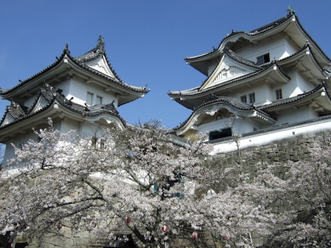 castello di Iga a ueno