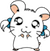 hamtaro